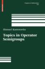 Topics in Operator Semigroups - Book
