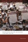 Social Reproduction and the City : Welfare Reform, Child Care, and Resistance in Neoliberal New York - eBook