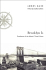 Brooklyn Is : Southeast of the Island: Travel Notes - eBook