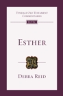 Esther : An Introduction and Commentary - eBook