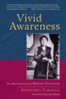 Vivid Awareness - eBook