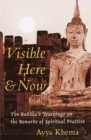 Visible Here and Now - eBook