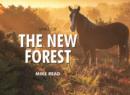 Spirit of the New Forest - Book