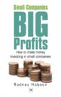 Small Companies, Big Profits : How to make money investing in small companies - eBook