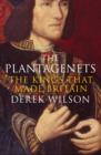 The Plantagenets : The Kings That Made Britain - eBook