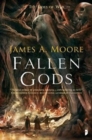 Fallen Gods - Book