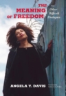 The Meaning of Freedom : And Other Difficult Dialogues - eBook