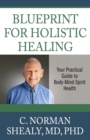 Blueprint for Holistic Healing : Your Practical Guide to Body-Mind-Spirit Health - eBook