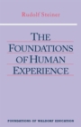 The Foundations of Human Experience - Book