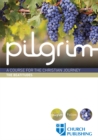 Pilgrim - The Beatitudes : A Course for the Christian Journey - eBook