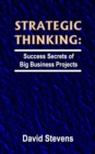 Strategic Thinking: success secrets of big business projects - eBook