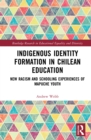 Indigenous Identity Formation in Chilean Education : New Racism and Schooling Experiences of Mapuche Youth - eBook