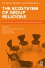 The Ecosystem of Group Relations : Culture, Gender and Identity in Groups and Organizations - eBook