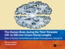 The Human Brain during the Third Trimester 310- to 350-mm Crown-Rump Lengths : Atlas of Central Nervous System Development, Volume 13 - eBook