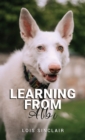 Learning from Albi - eBook