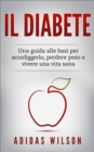 Il Diabete - eBook