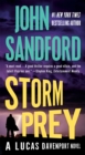 Storm Prey - eBook