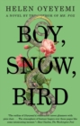 Boy, Snow, Bird - eBook