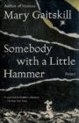 Somebody with a Little Hammer - eBook