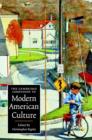 The Cambridge Companion to Modern American Culture - eBook