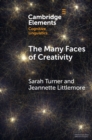 The Many Faces of Creativity : Exploring Synaesthesia through a Metaphorical Lens - eBook