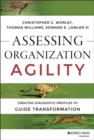 Assessing Organization Agility : Creating Diagnostic Profiles to Guide Transformation - eBook