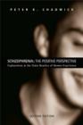 Schizophrenia: The Positive Perspective : Explorations at the Outer Reaches of Human Experience - eBook