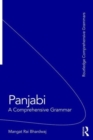 Panjabi : A Comprehensive Grammar - Book