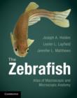 Zebrafish : Atlas of Macroscopic and Microscopic Anatomy - eBook