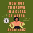 How Not to Drown in a Glass of Water : A Novel - eAudiobook