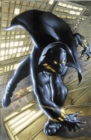 Black Panther By Christopher Priest Omnibus Vol. 1 - Book
