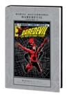 Marvel Masterworks: Daredevil Vol. 17 - Book