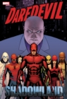 Daredevil: Shadowland Omnibus Cassaday Cover (new Printing) - Book