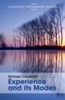 Experience and its Modes - eBook
