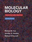 Molecular Biology : Principles and Practice - eBook