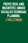 Profit, Risk and Incentives under Socialist Economic Planning - eBook