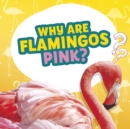 Why Are Flamingos Pink? - eBook