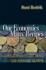 One Economics, Many Recipes : Globalization, Institutions, and Economic Growth - eBook