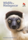 Wildlife of Madagascar - eBook