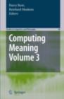 Computing Meaning : Volume 3 - eBook