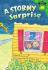 A Stormy Surprise - eBook