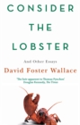 Consider The Lobster : Essays and Arguments - eBook
