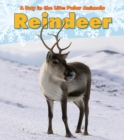 Reindeer - eBook