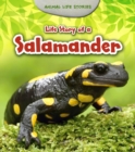Life Story of a Salamander - eBook