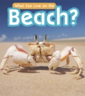 What Can Live at the Beach? - eBook