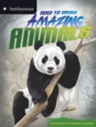How to Draw Amazing Animals - eBook