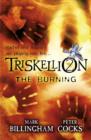 Triskellion 2: The Burning - eBook