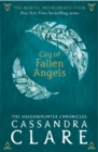 The Mortal Instruments 4: City of Fallen Angels - Book