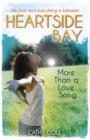 More Than A Love Song - eBook