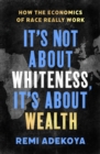 It's Not About Whiteness, It's About Wealth : How the Economics of Race Really Work - eBook